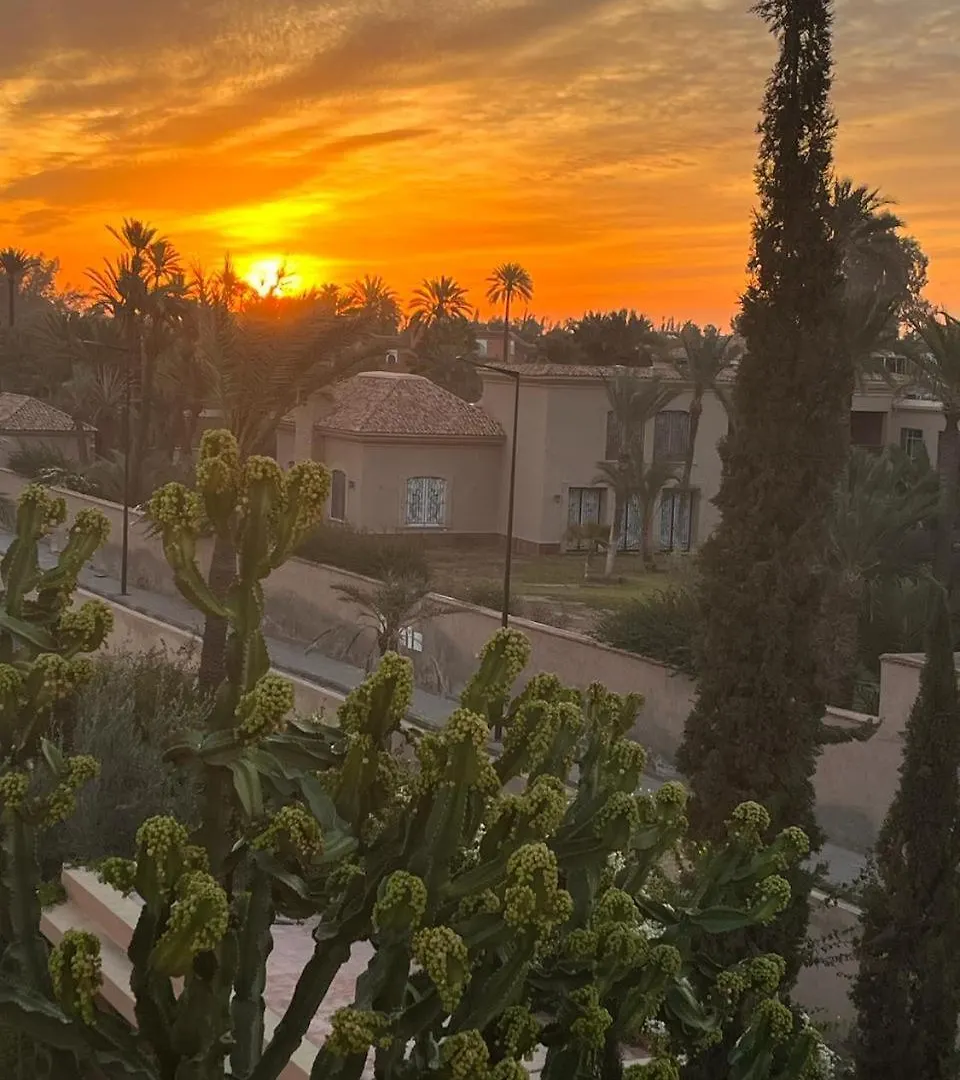 Villa Les Palmiers Marrakesh Morocco