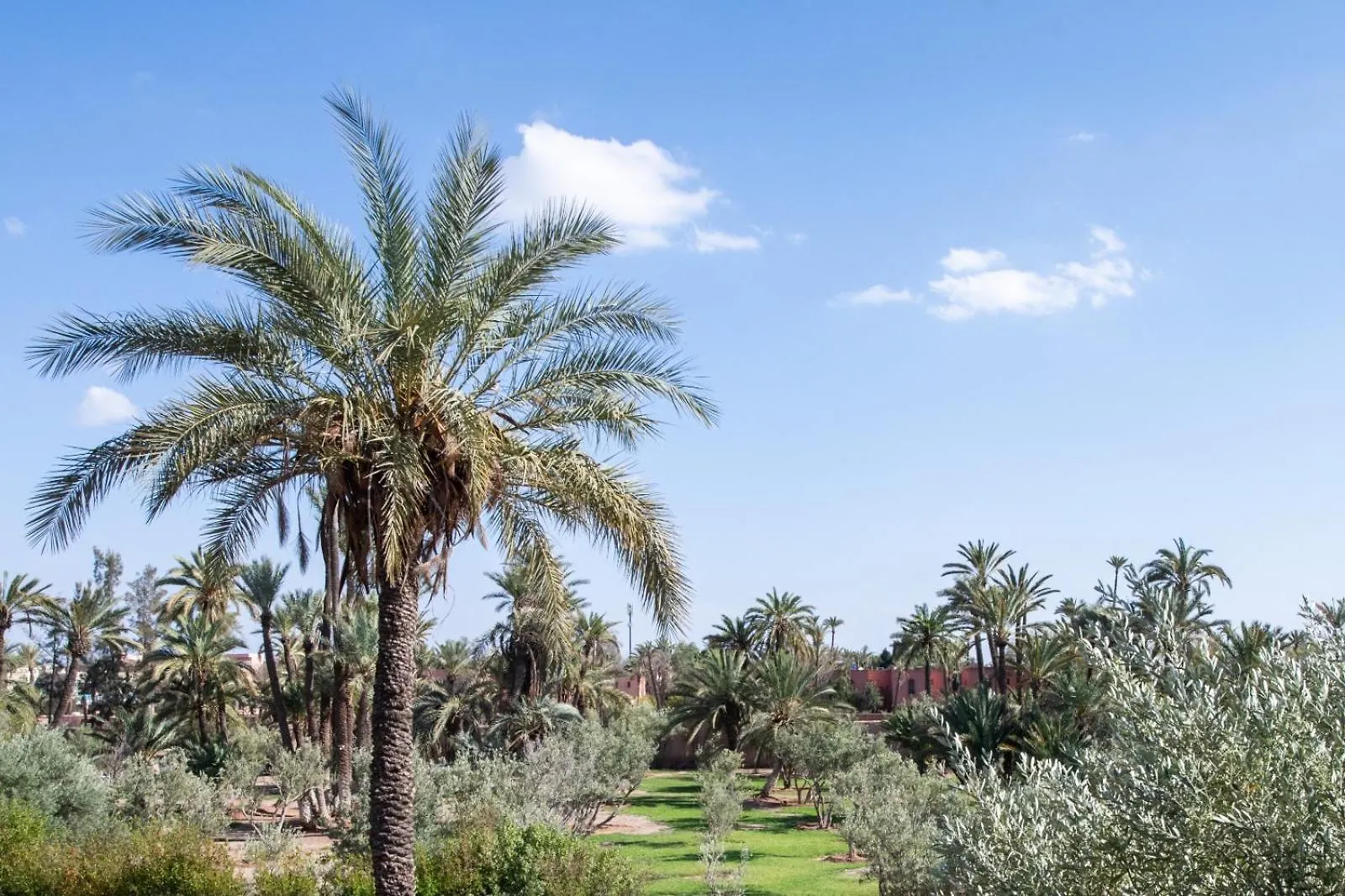 Villa Les Palmiers Marrakesh
